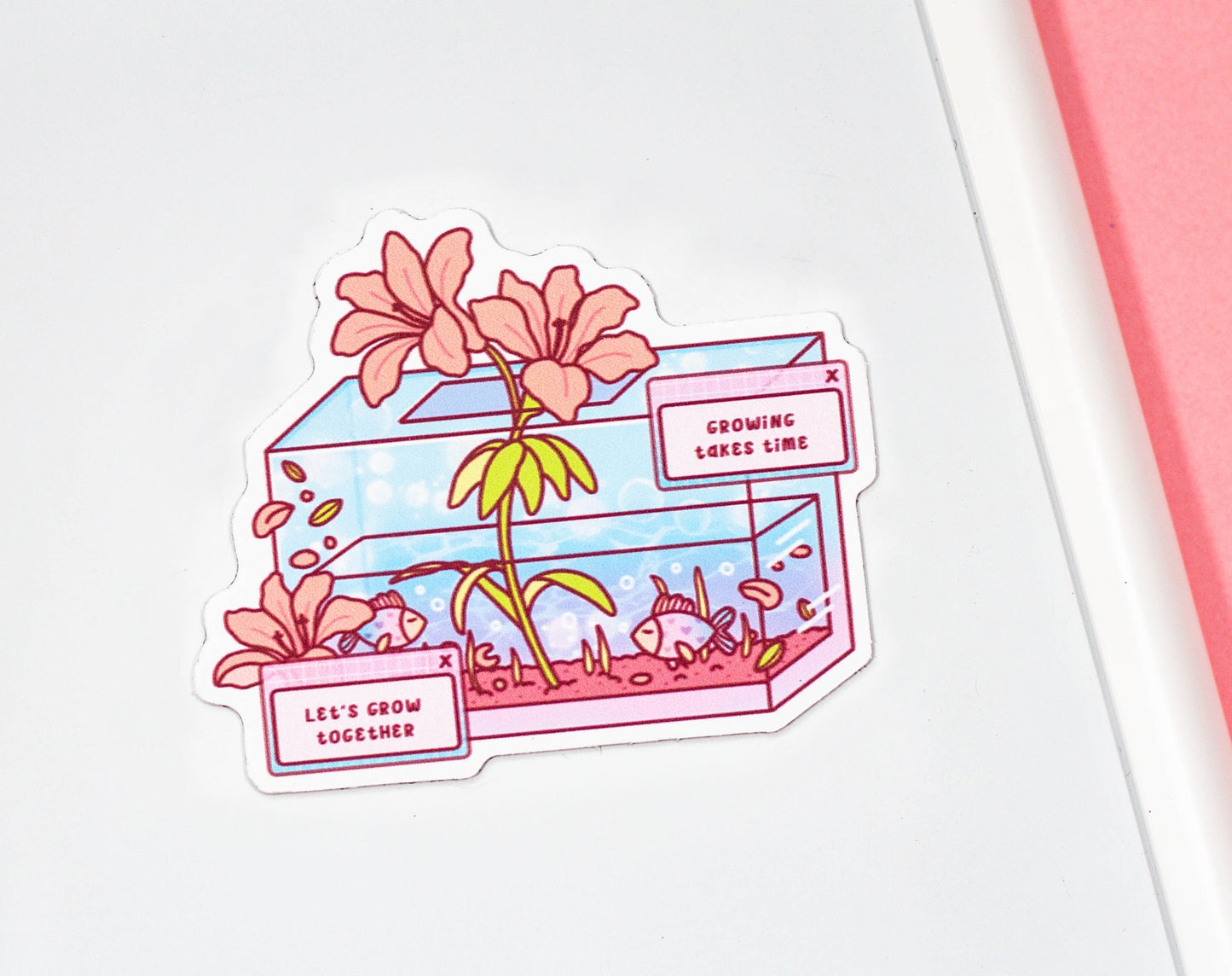 Fish Tank Magnet
